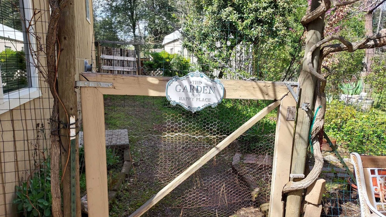 Photo of Outdoor in Groveland