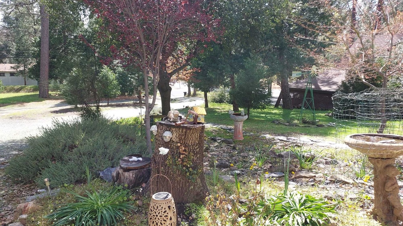 Photo of Outdoor in Groveland