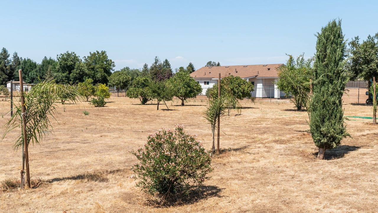 Photo of Outdoor in Madera