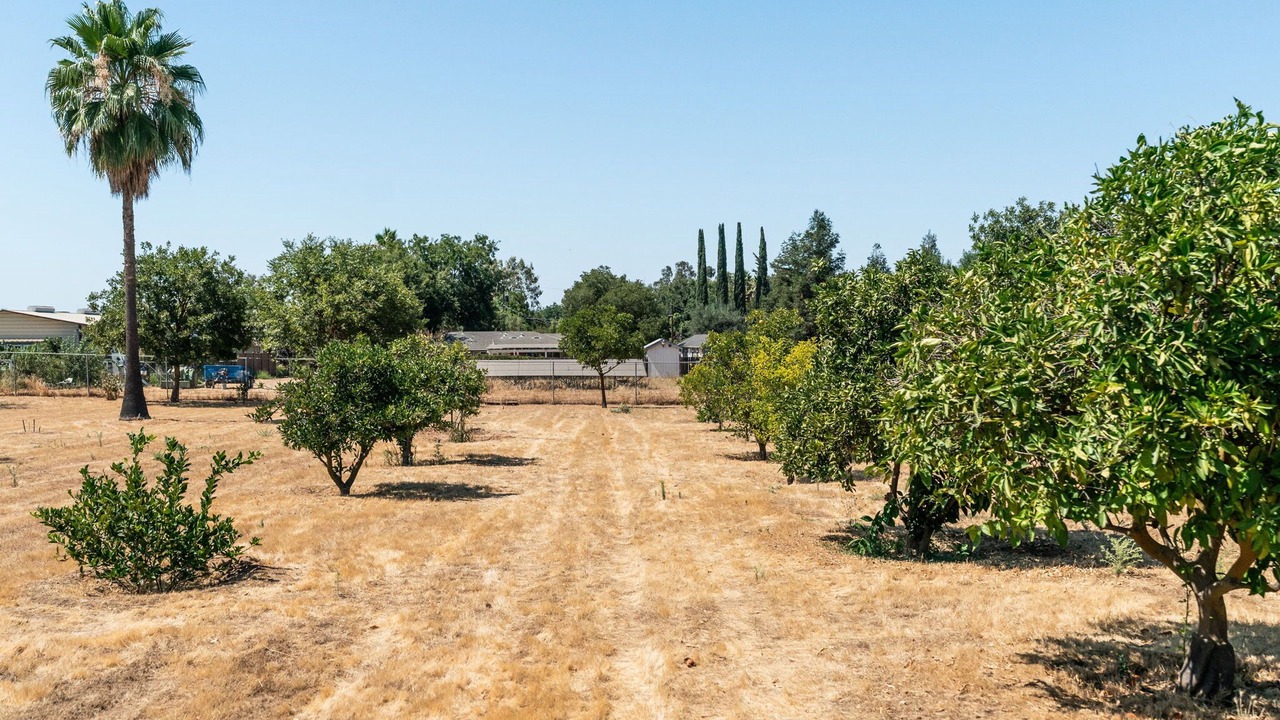 Photo of Outdoor in Madera