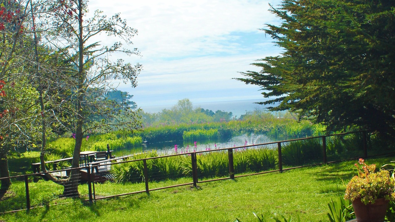 Photo of Outdoor in Pescadero