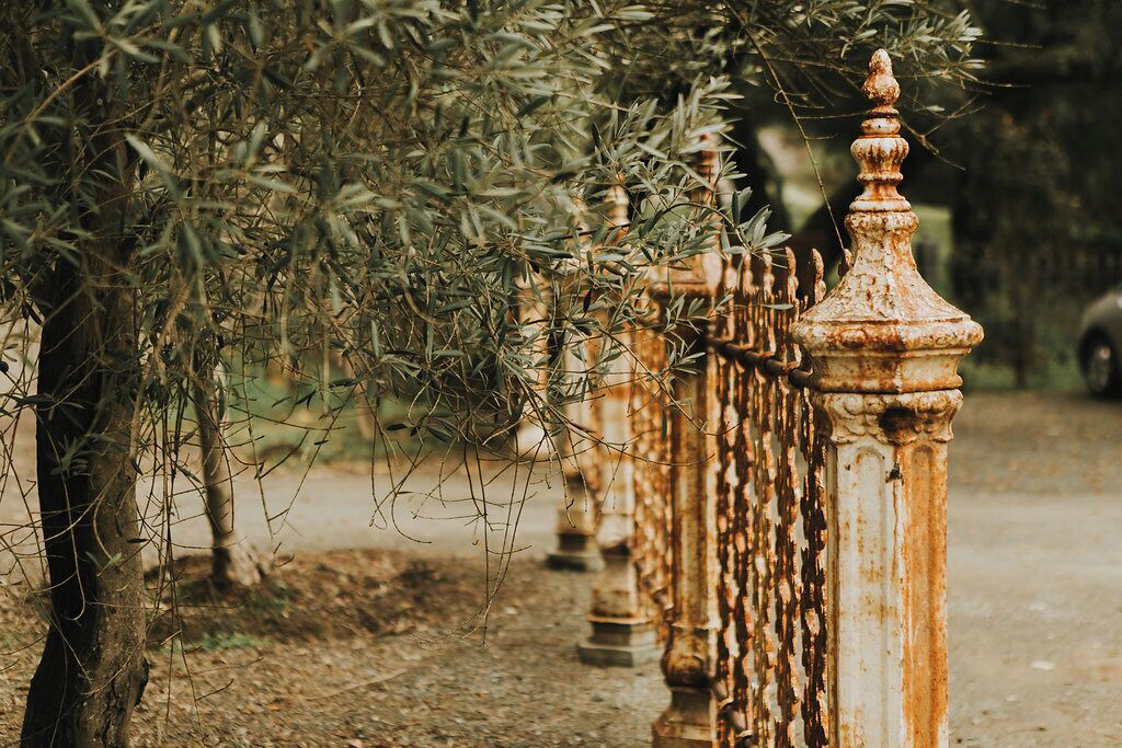 Photo of Others in Calistoga