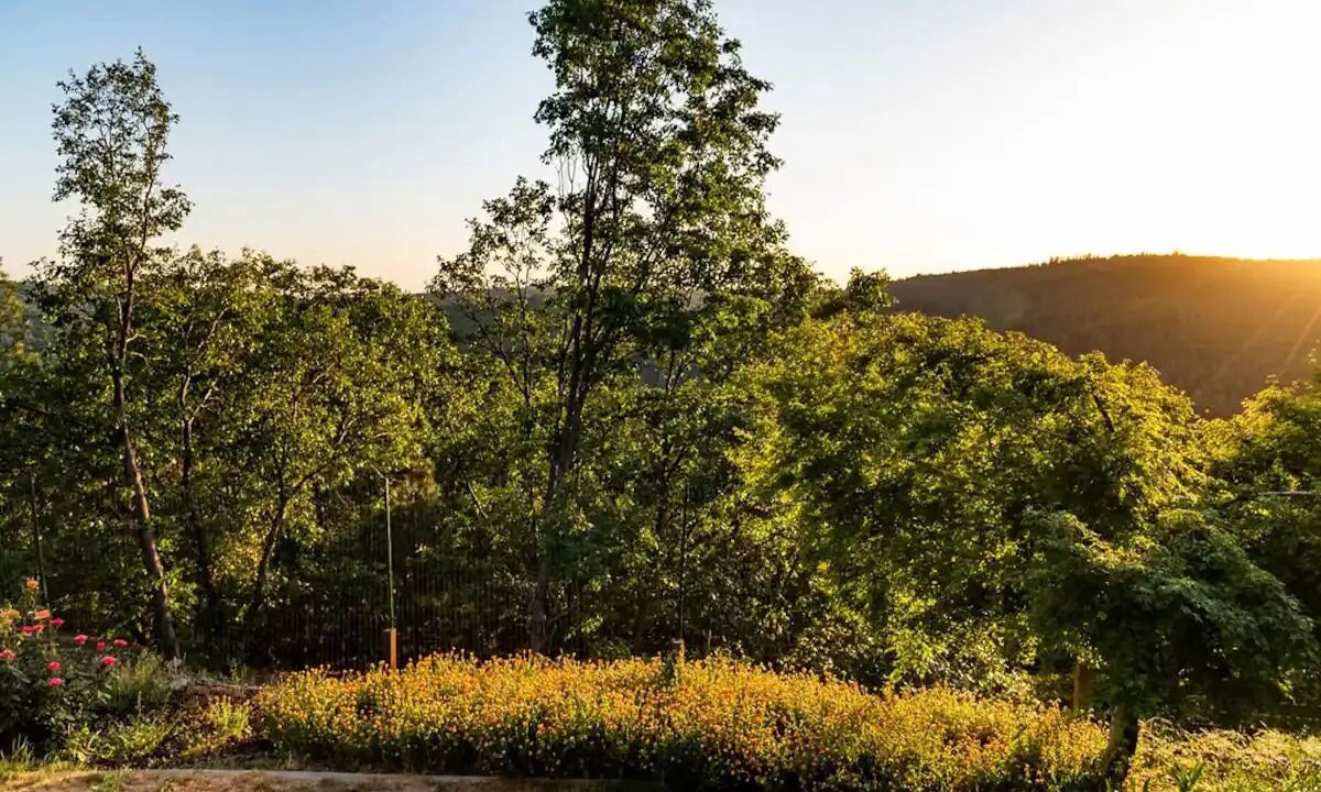 Photo of Outdoor in Cedar Ridge
