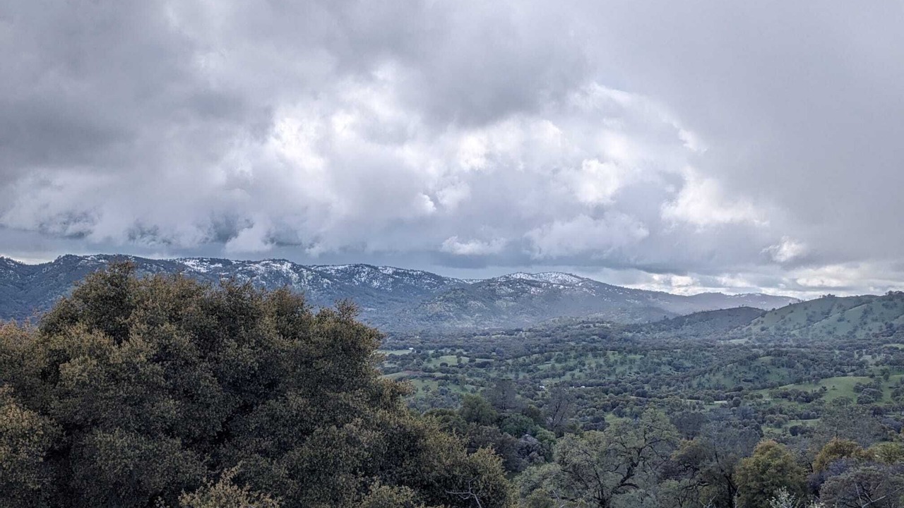 Photo of Others in Mariposa