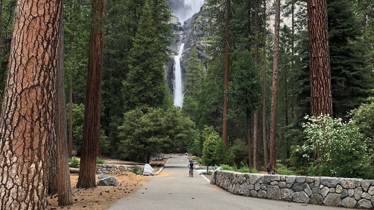 Photo of Others in Midpines