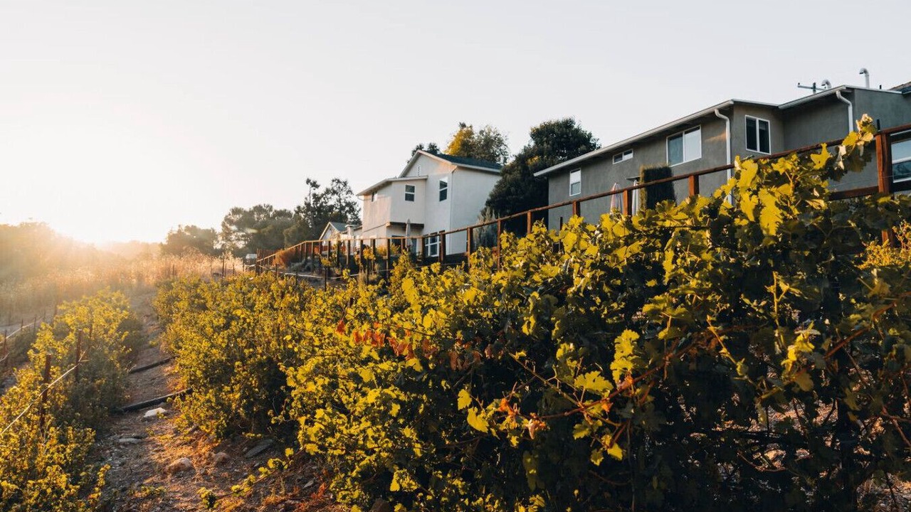 Photo of Outdoor in Paso Robles