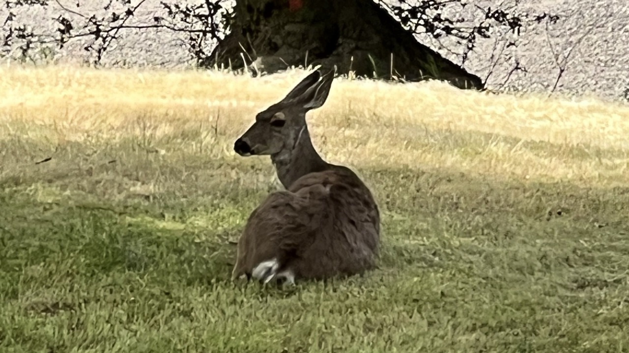 Photo of Others in Oakhurst