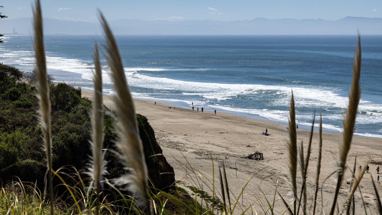 Photo of Others in Rio del Mar