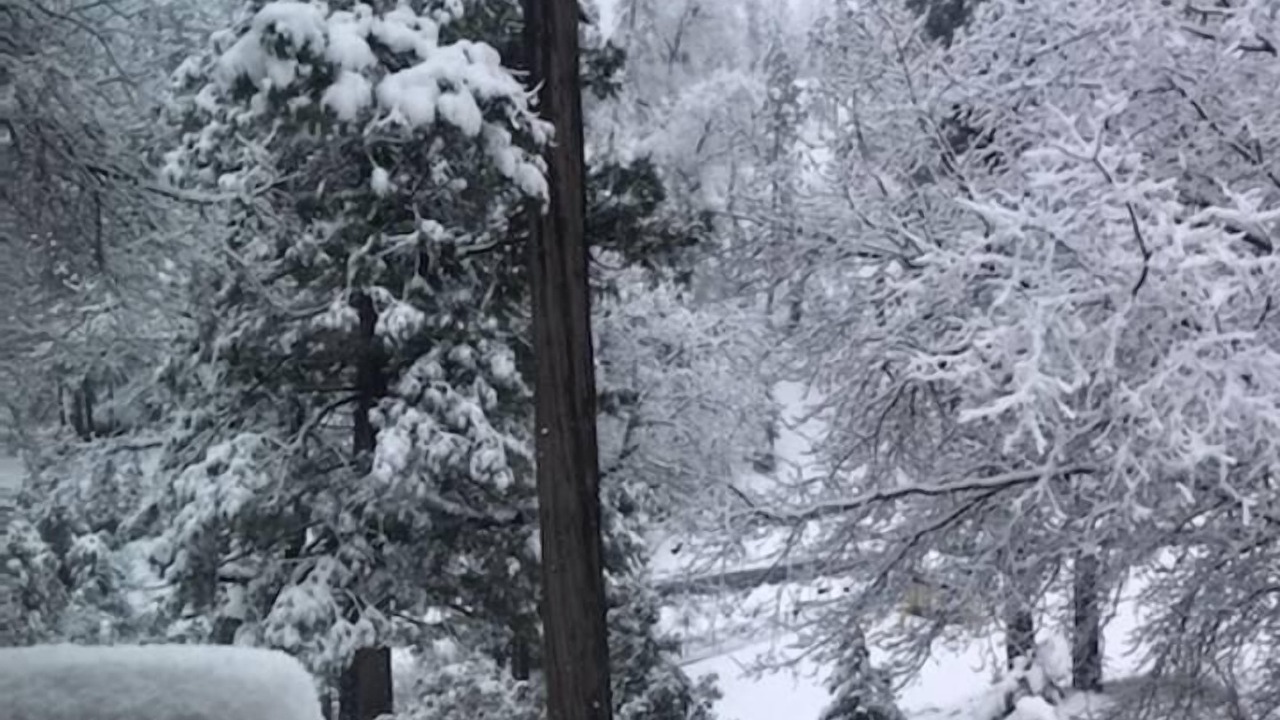 Photo of Outdoor in Groveland