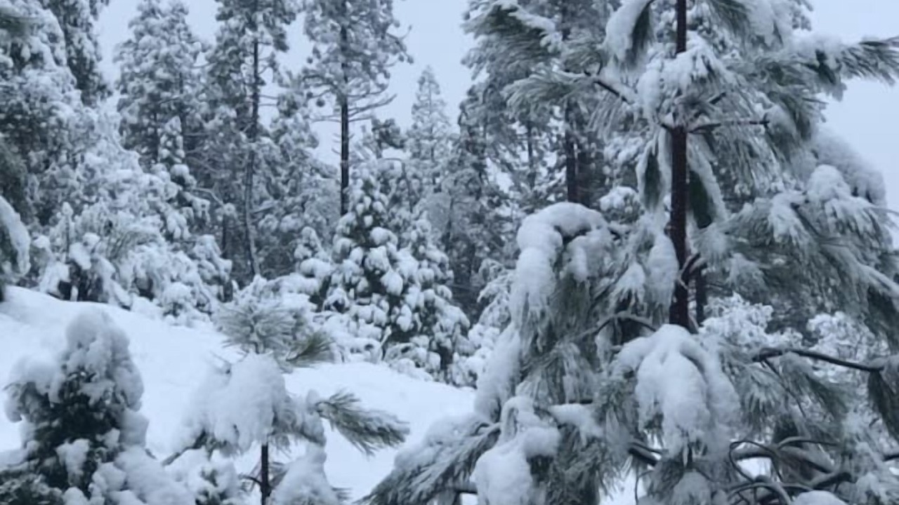 Photo of Others in Groveland