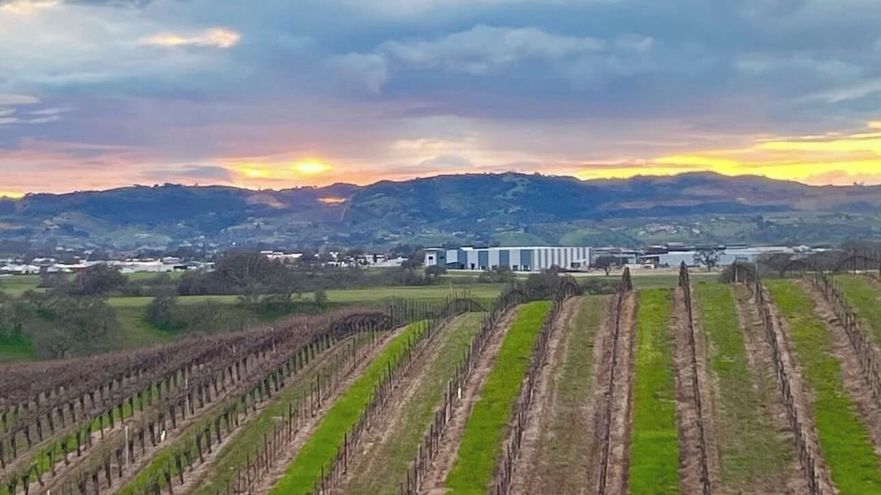 Photo of Others in Paso Robles