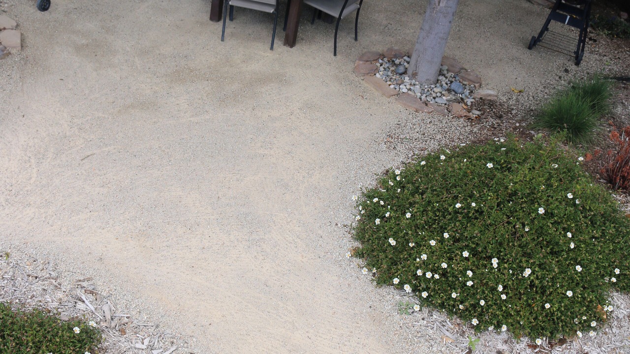 Photo of Outdoor in Paso Robles