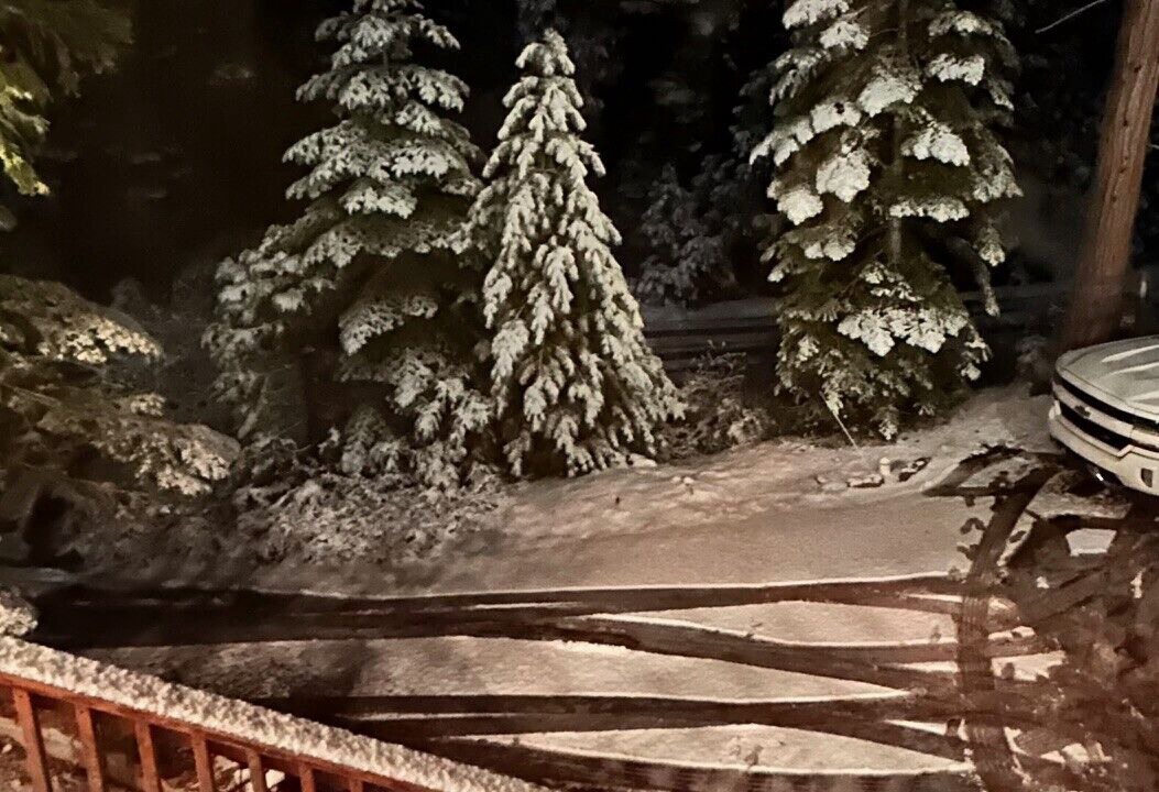 Photo of Outdoor in Shaver Lake