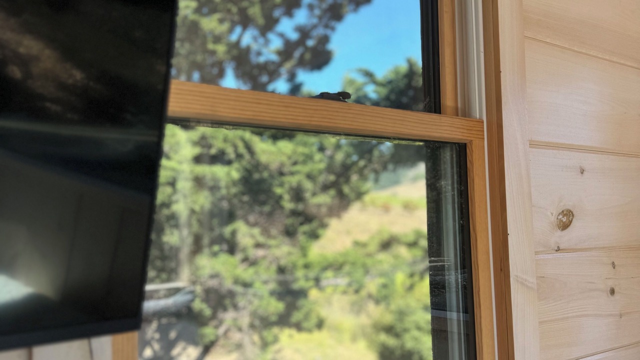 Photo of Outdoor in Cambria