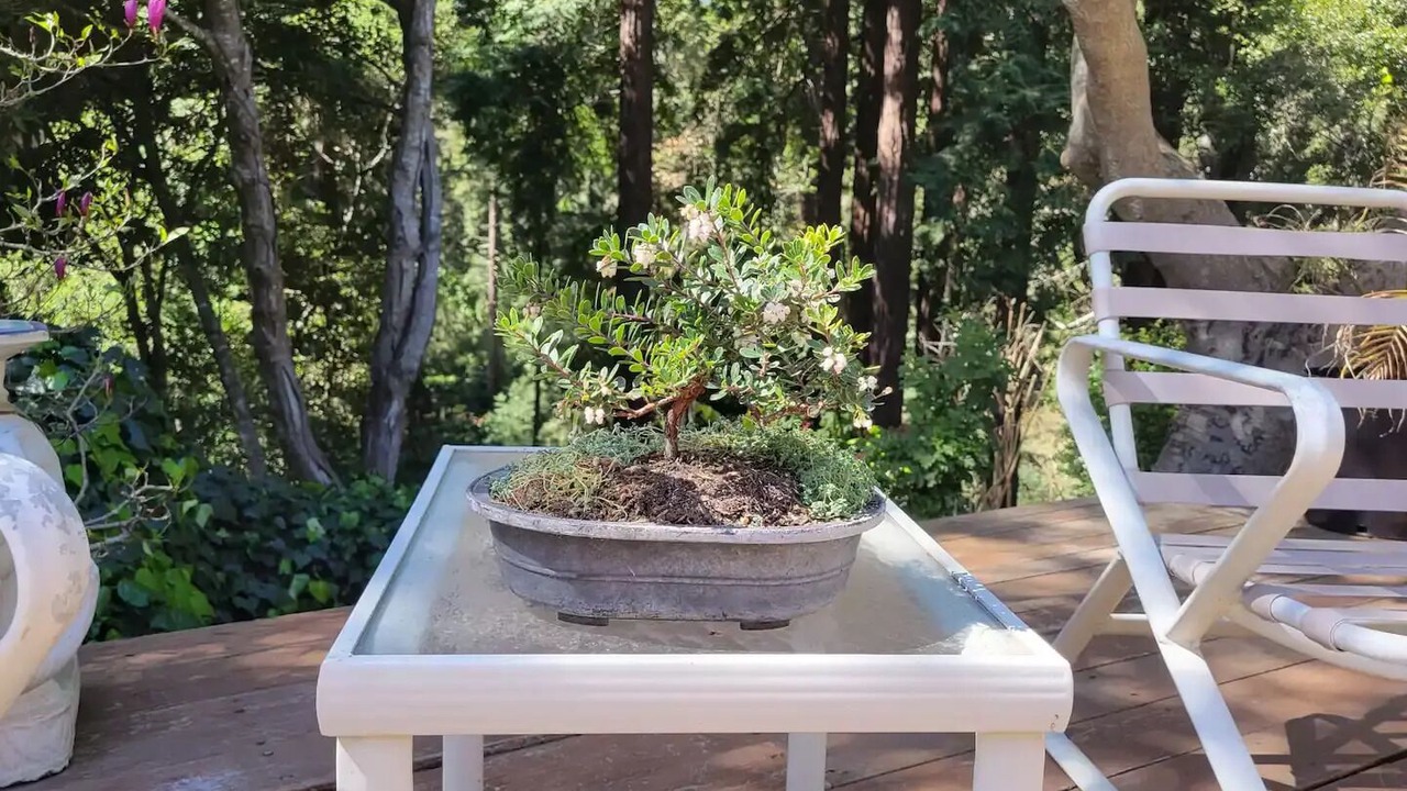 Photo of Outdoor in Aptos