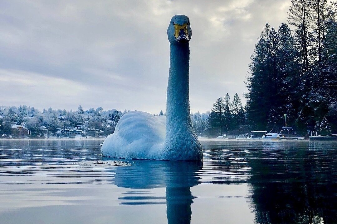 Photo of Others in Groveland