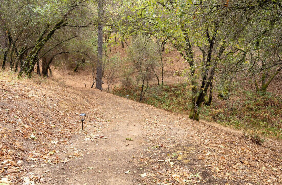 Photo of Outdoor in Diamond Springs