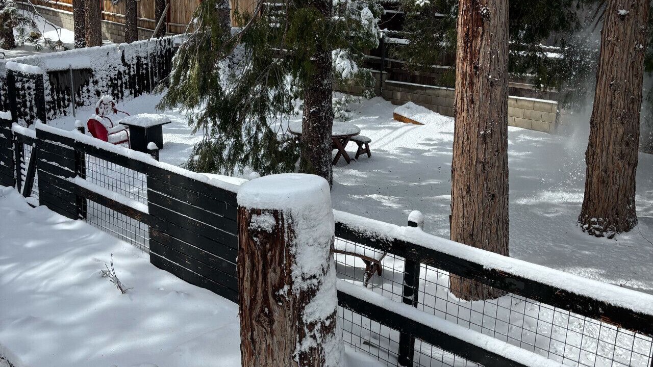 Photo of Others in Wrightwood