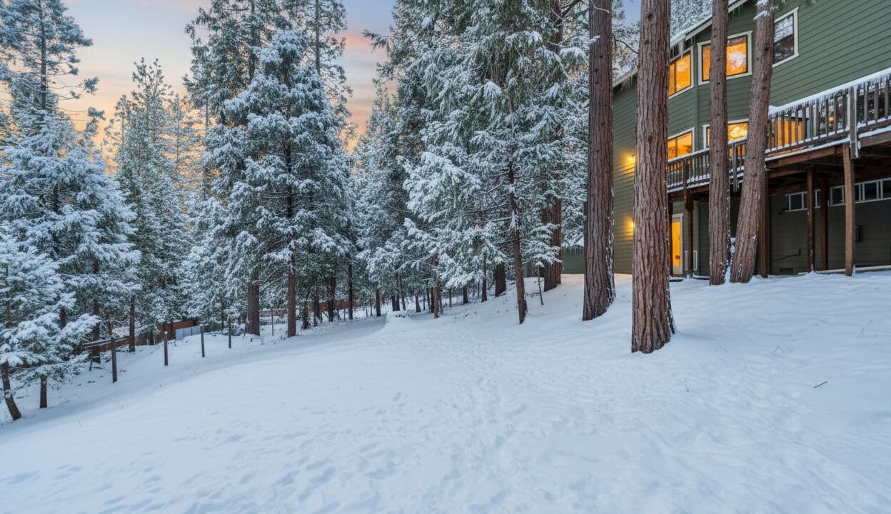 Photo of Outdoor in Twain Harte