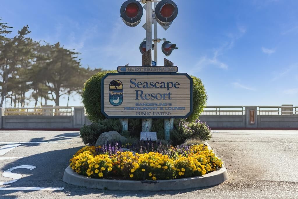 Photo of Outdoor in Rio del Mar