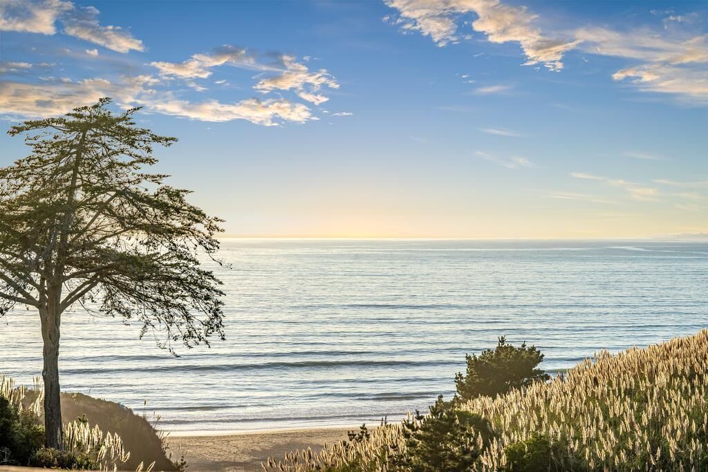Photo of Others in Rio del Mar