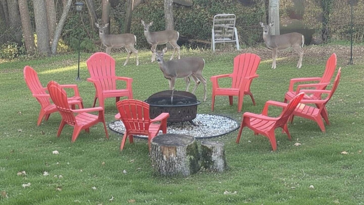 Photo of Others in Oakhurst