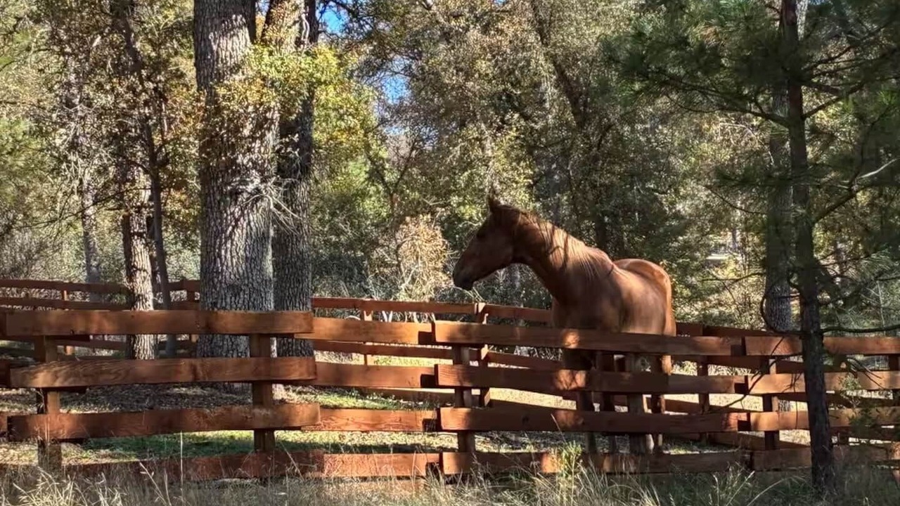 Photo of Outdoor in Oakhurst