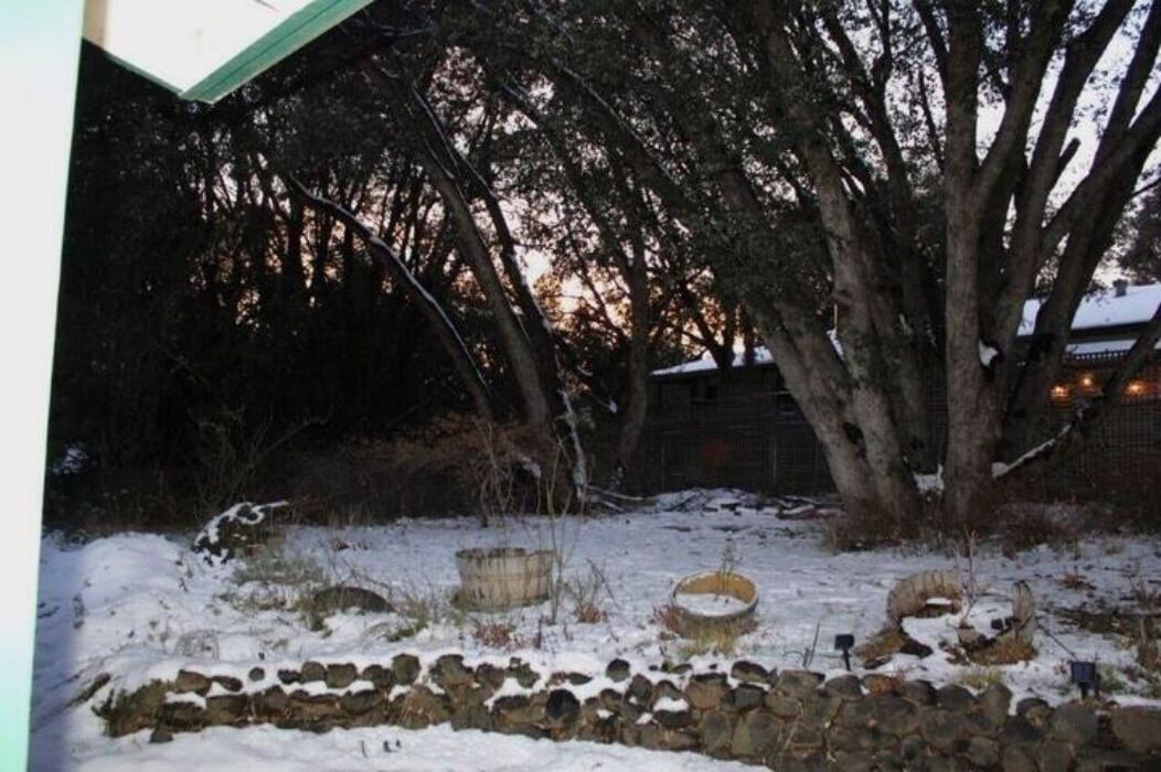 Photo of Outdoor in Twain Harte