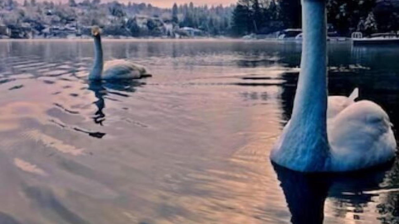 Photo of Others in Groveland