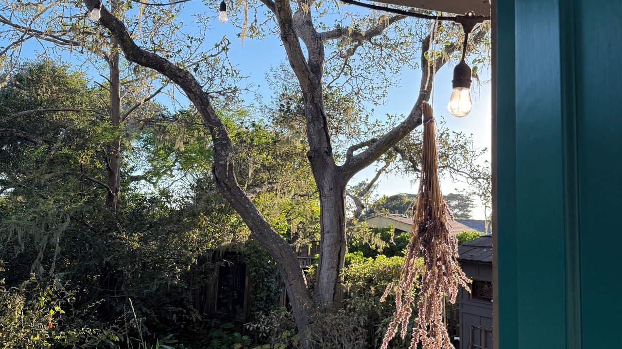 Photo of Outdoor in Northeast Carmel