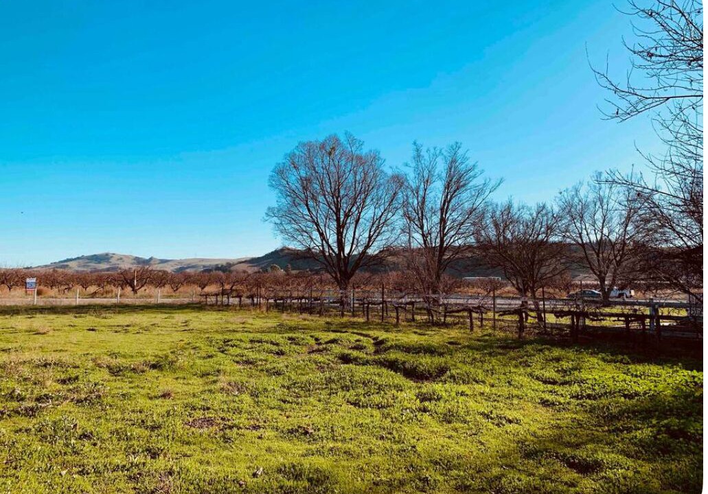 Photo of Outdoor in Hollister