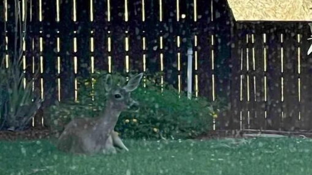 Photo of Outdoor in Red Bluff
