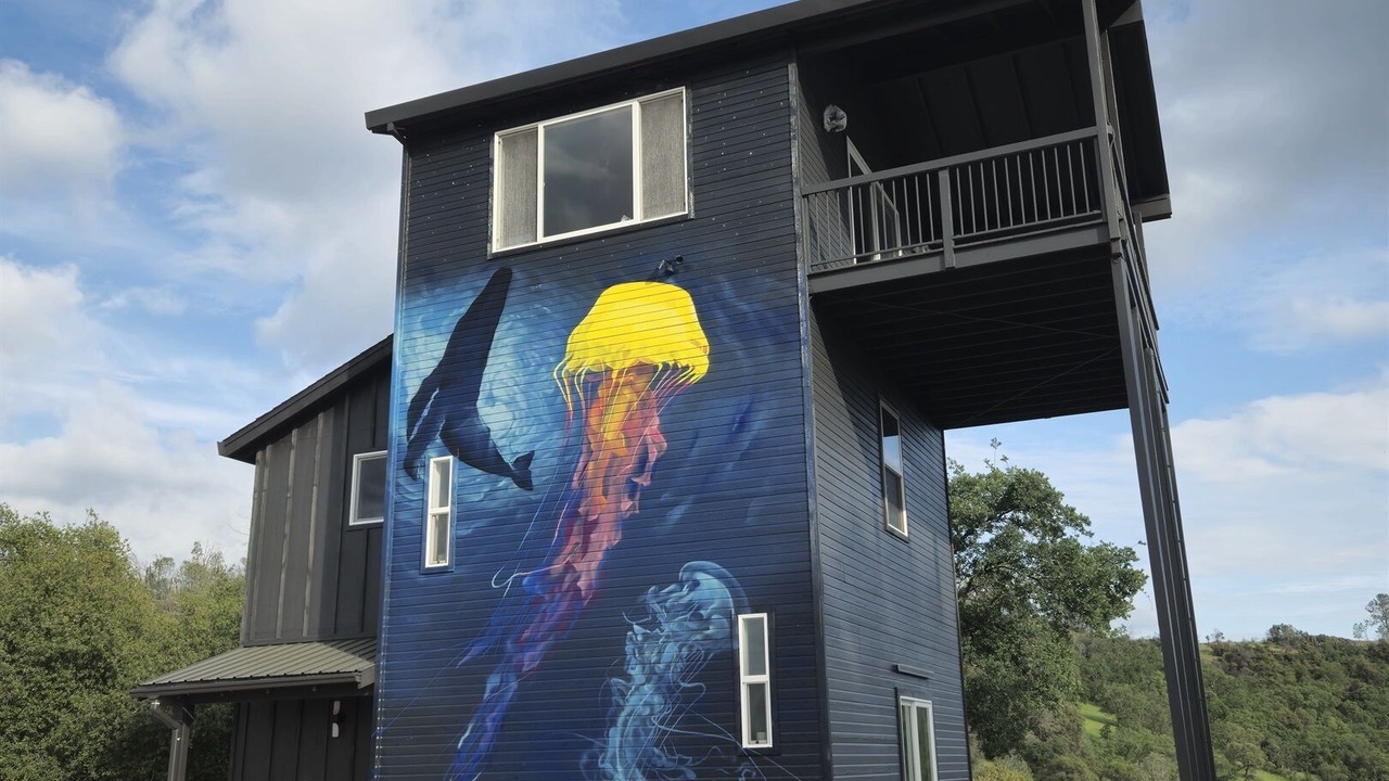 Photo of Outdoor in Vallecito