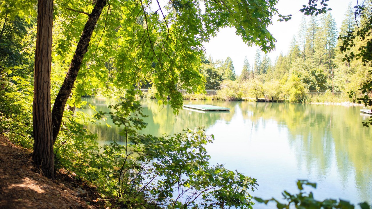 Photo of Outdoor in Phoenix Lake-Cedar Ridge