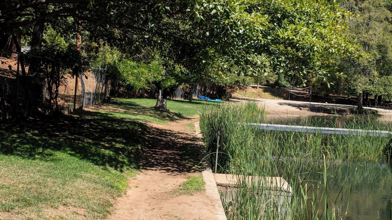 Photo of Outdoor in Phoenix Lake-Cedar Ridge