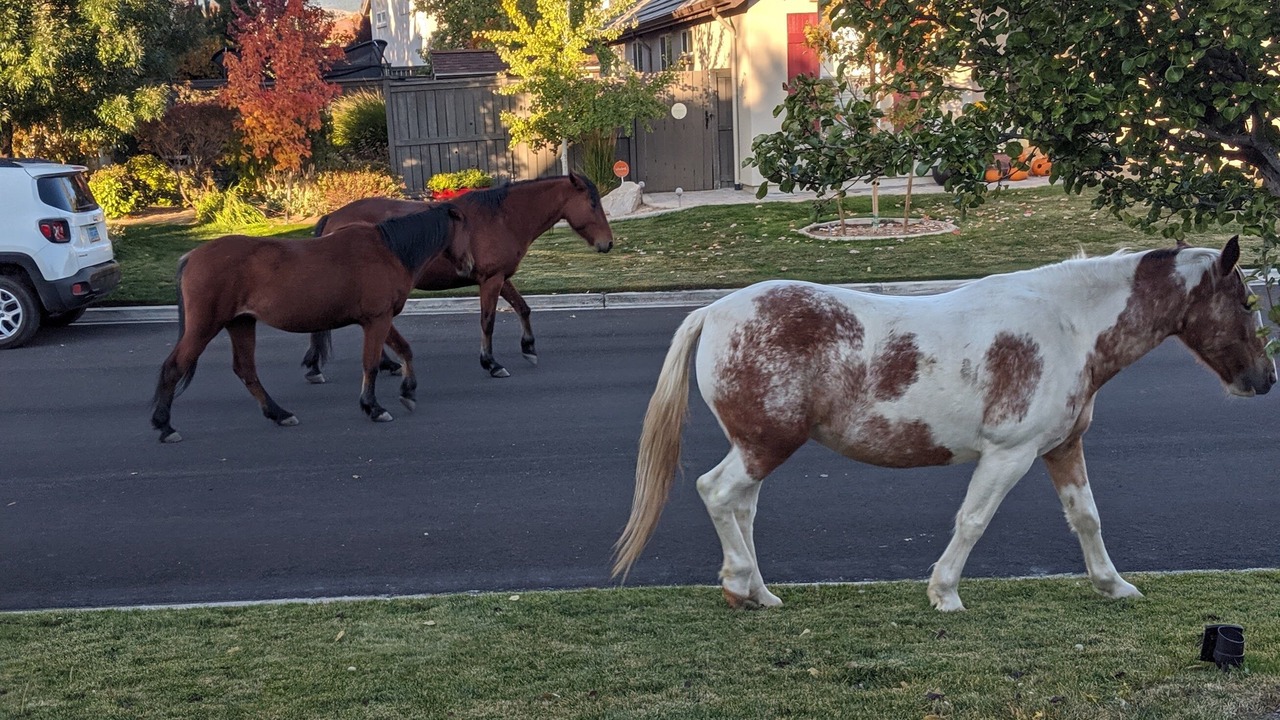 Photo of Others in Reno