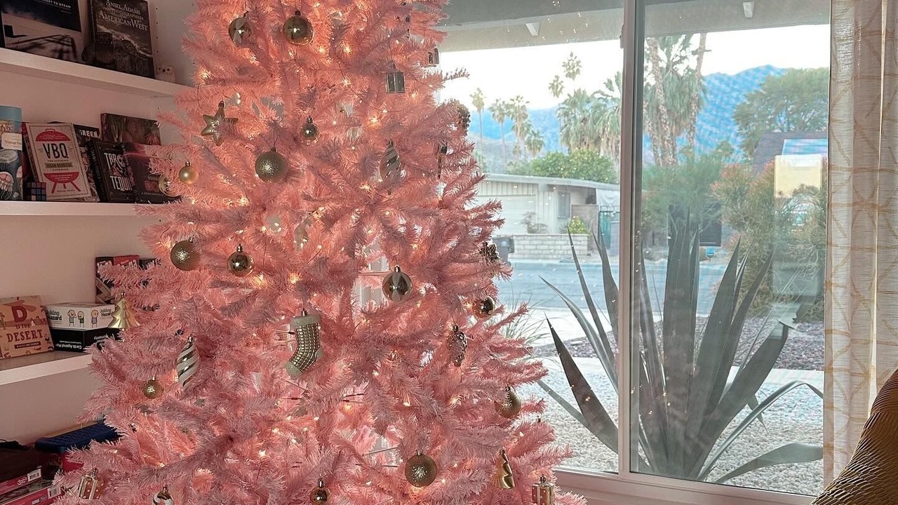 Photo of Others in Palm Springs