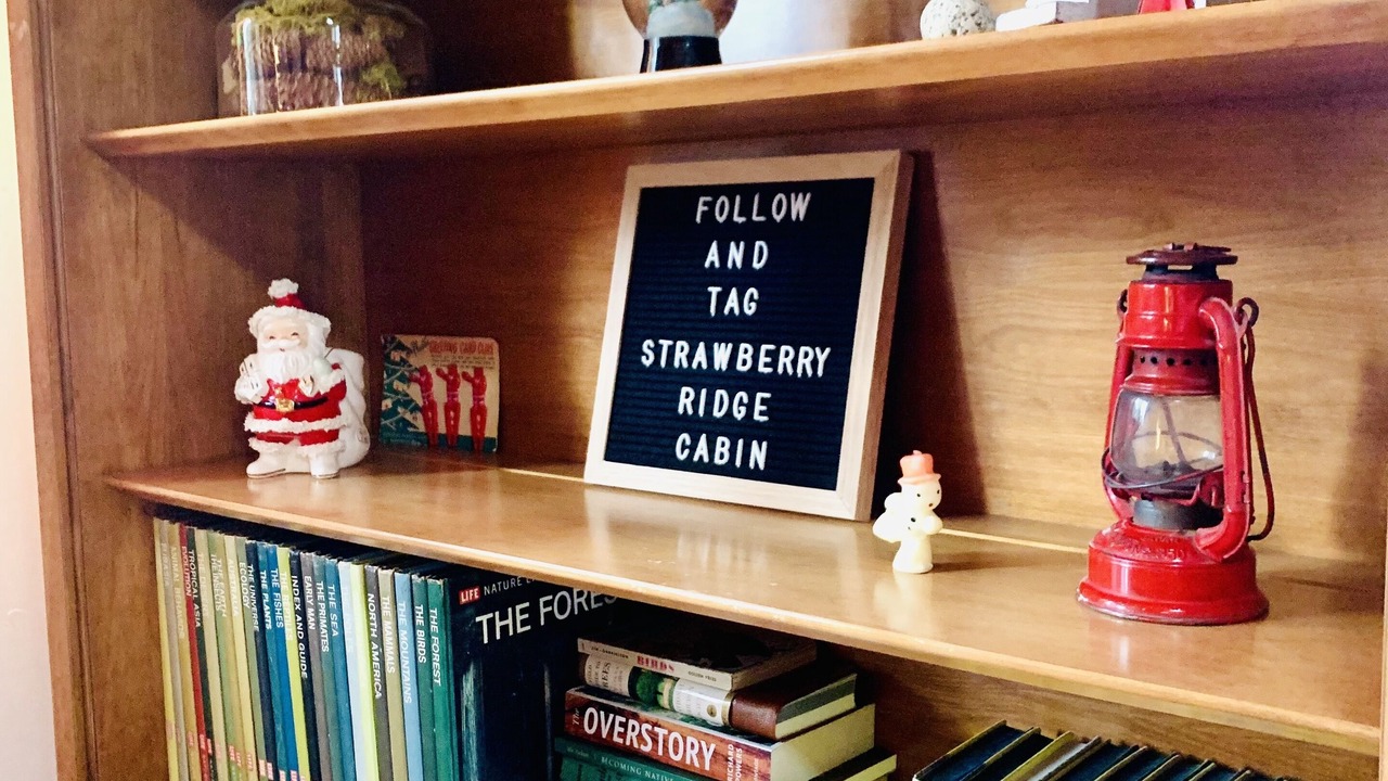 Photo of Outdoor in Strawberry