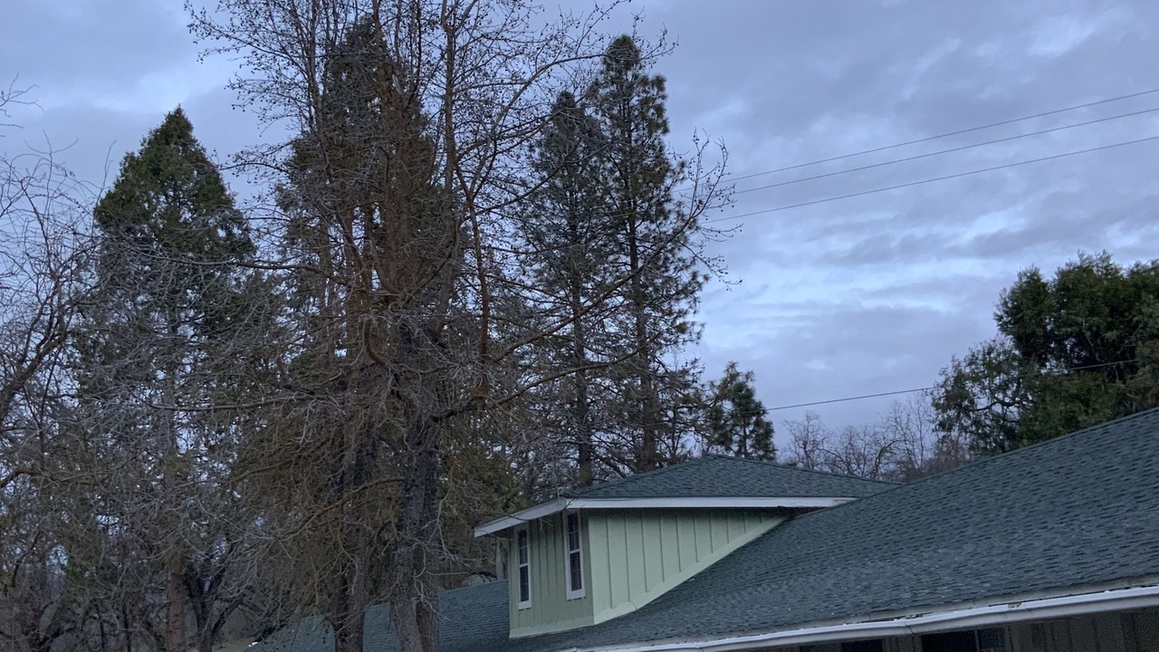 Photo of Outdoor in Orosi