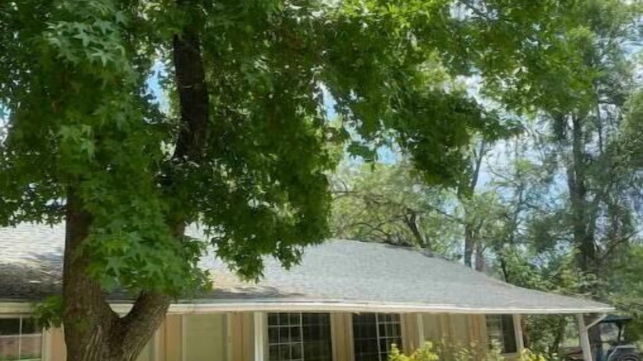 Photo of Outdoor in Orosi