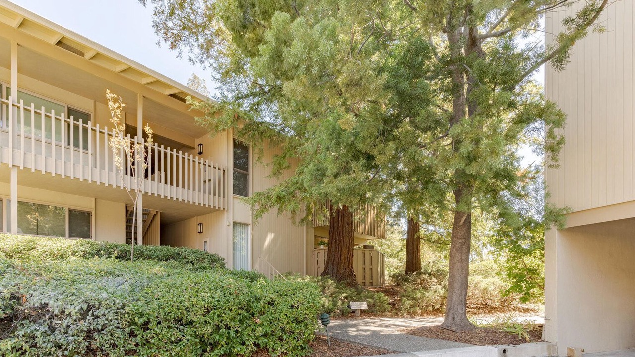 Photo of Outdoor in Sharon Heights