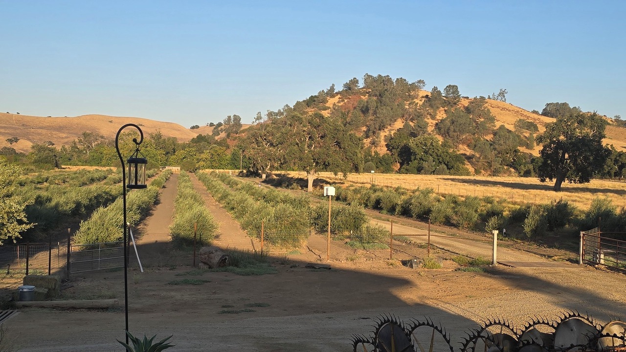 Photo of Outdoor in Hollister