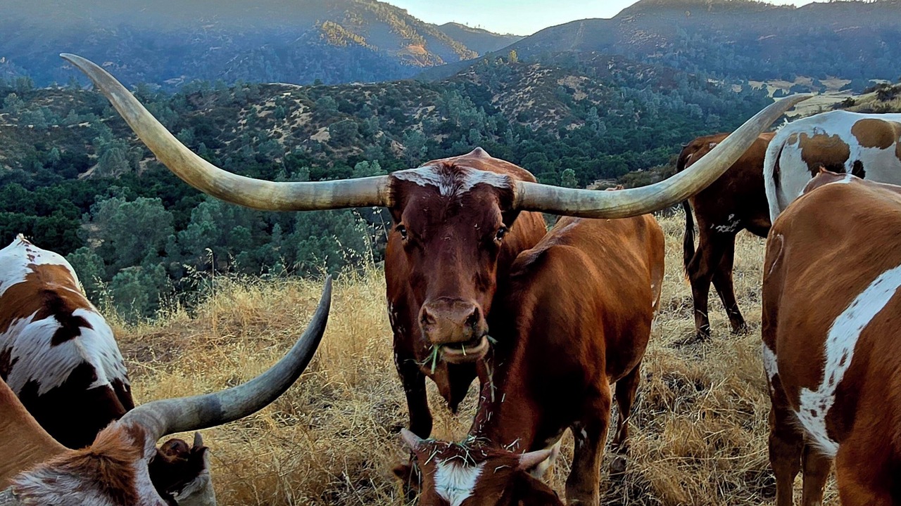 Photo of Outdoor in Hollister