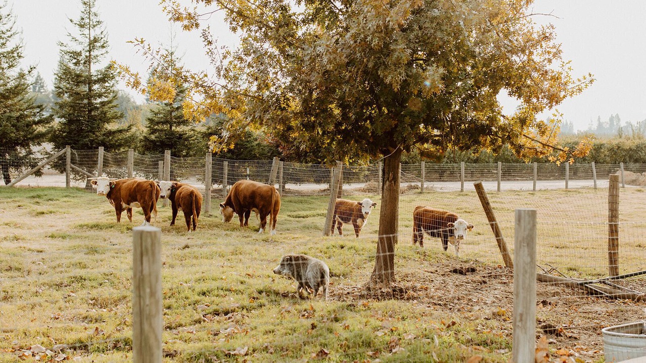Photo of Outdoor in Kingsburg