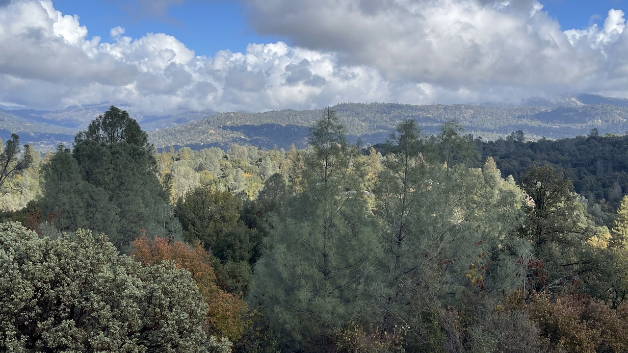 Photo of Others in Oakhurst