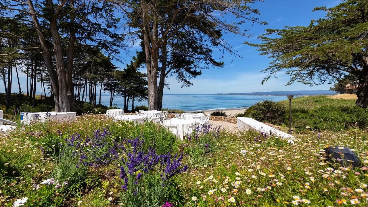 Photo of Outdoor in Rio del Mar