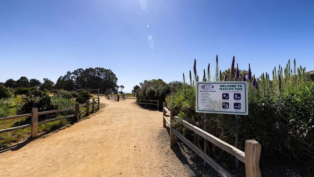 Photo of Outdoor in Rio del Mar
