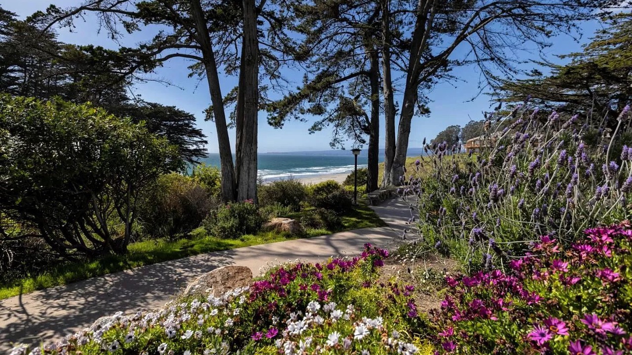Photo of Outdoor in Rio del Mar