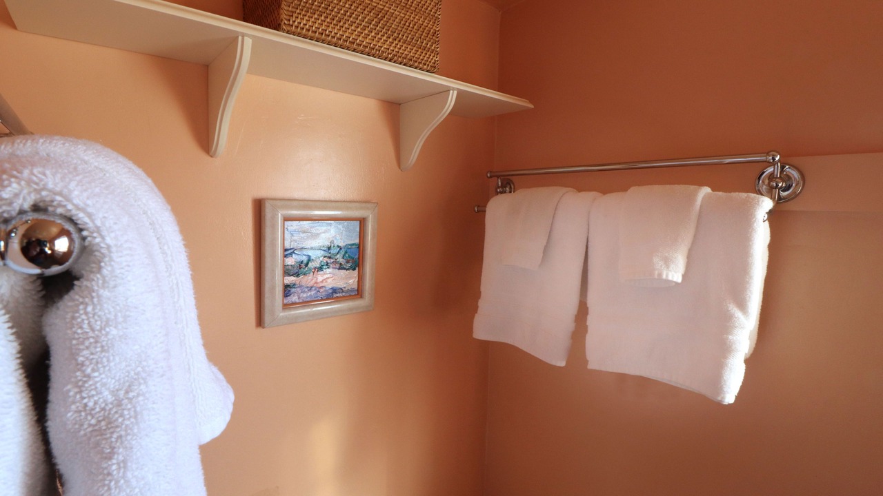 Photo of Bathroom in Dillon Beach