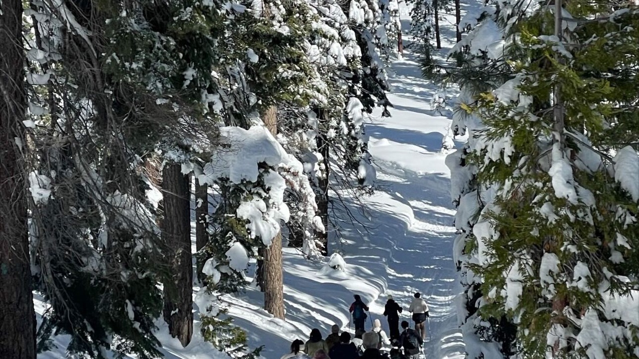 Photo of Others in Echo Lake